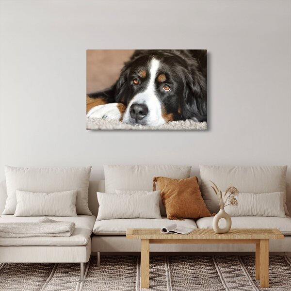 Slika psa (90x60 cm)