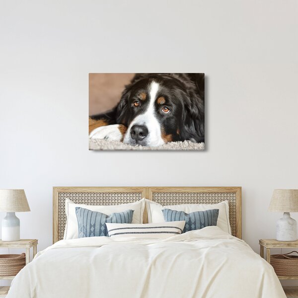 Slika psa (90x60 cm)