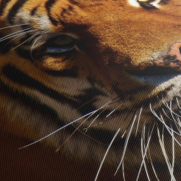 Slika tigra (90x60 cm)