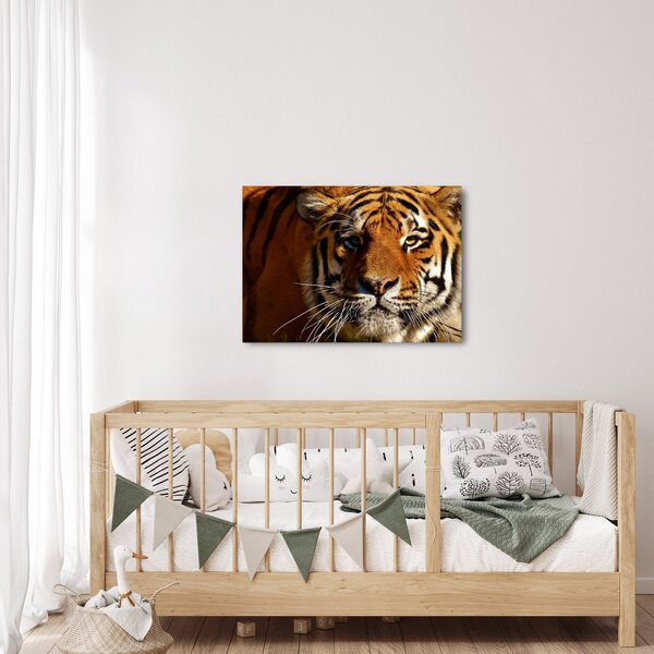 Slika tigra (70x50 cm)