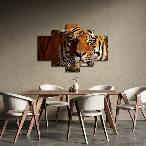 Slika tigra (150x105 cm)