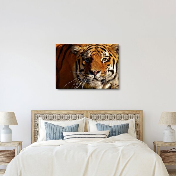 Slika tigra (70x50 cm)