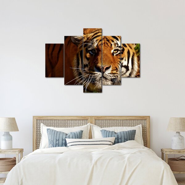 Slika tigra (150x105 cm)
