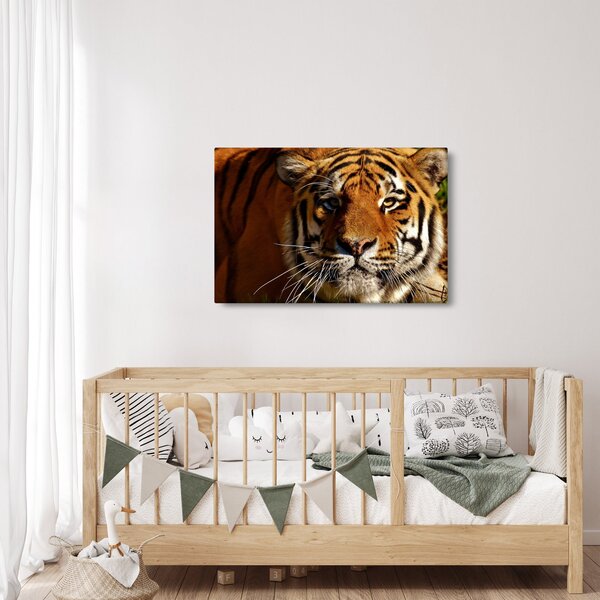 Slika tigra (90x60 cm)