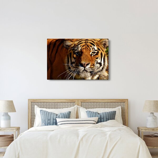 Slika tigra (90x60 cm)