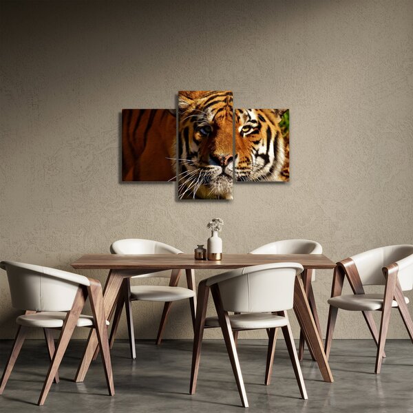Slika tigra (90x60 cm)