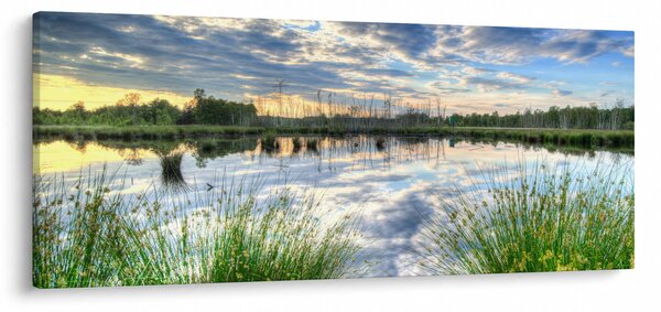 Slika jezera s trskom (120x50 cm)