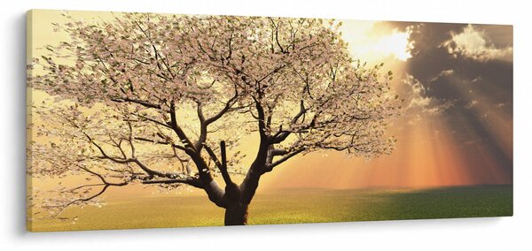 Slika stabla na livadi (120x50 cm)