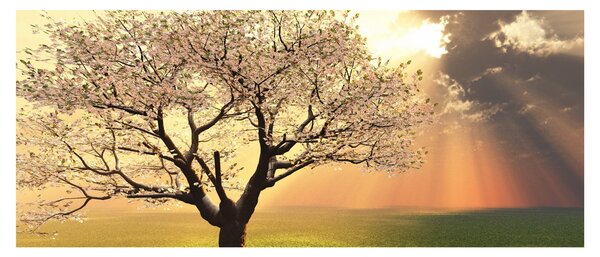 Slika stabla na livadi (120x50 cm)