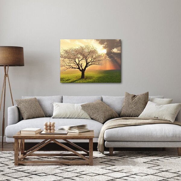 Slika stabla na livadi (70x50 cm)