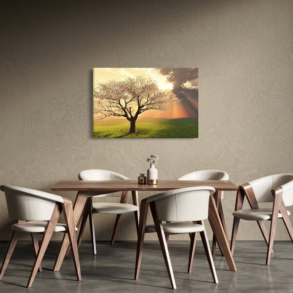 Slika stabla na livadi (90x60 cm)
