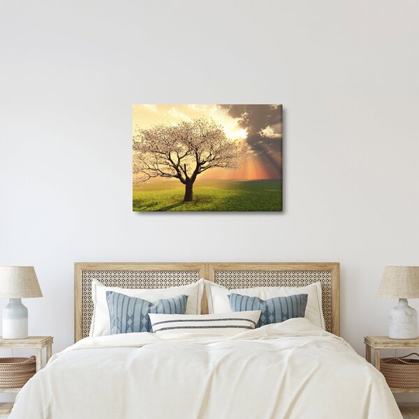 Slika stabla na livadi (70x50 cm)