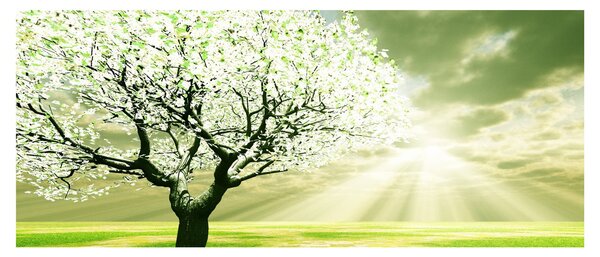 Slika stabla na livadi (120x50 cm)