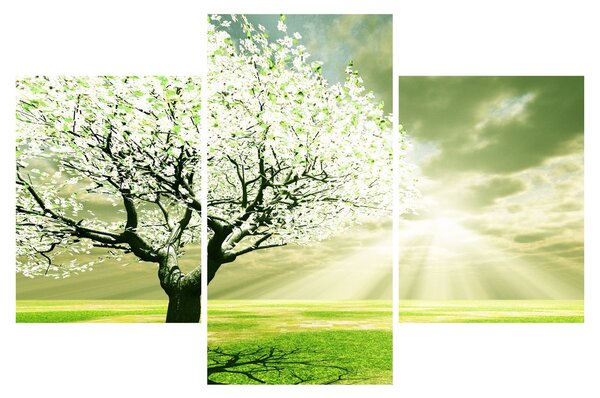 Slika stabla na livadi (90x60 cm)