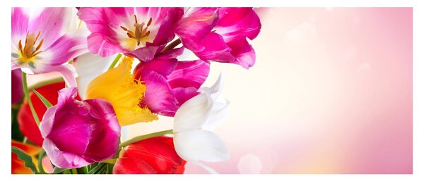 Slika tulipana (120x50 cm)