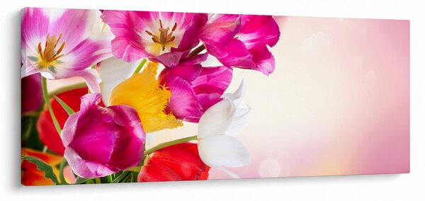 Slika tulipana (120x50 cm)