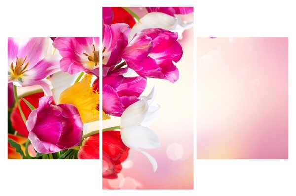 Slika tulipana (90x60 cm)