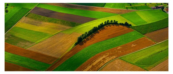Slika - Polja, livade (120x50 cm)