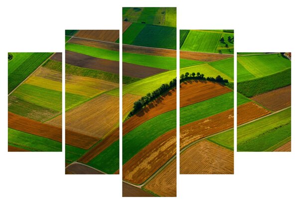 Slika - Polja, livade (150x105 cm)