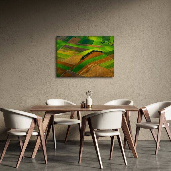 Slika - Polja, livade (70x50 cm)