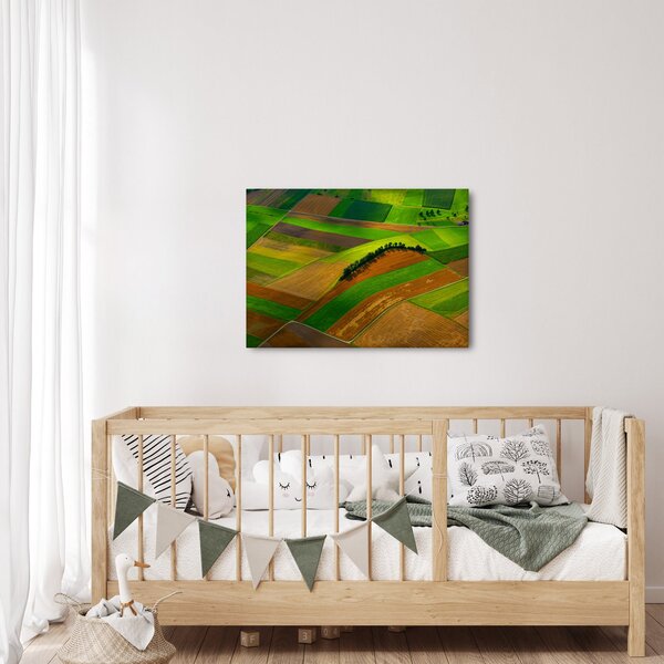 Slika - Polja, livade (70x50 cm)