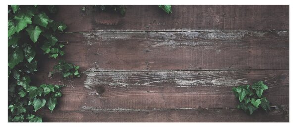 Slika - Bršljan (120x50 cm)