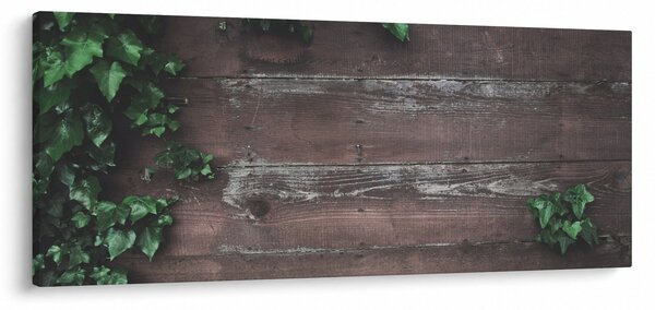 Slika - Bršljan (120x50 cm)
