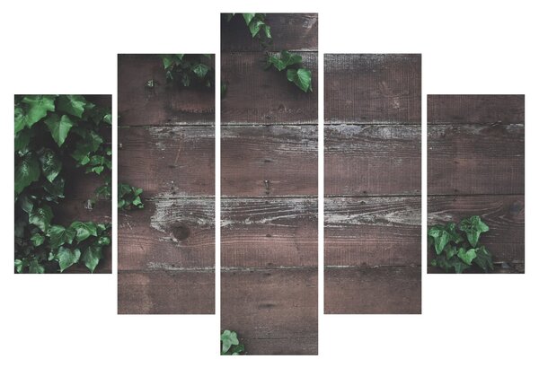 Slika - Bršljan (150x105 cm)