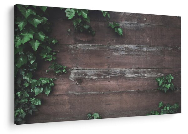 Slika - Bršljan (90x60 cm)