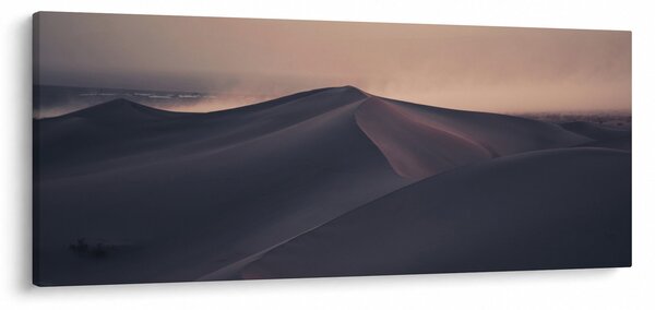 Slika - Pješčane dine (120x50 cm)