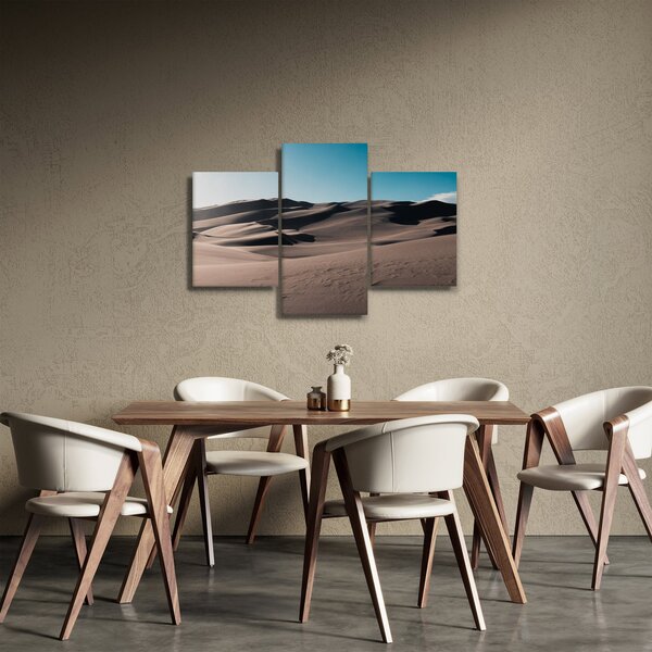 Slika - Iz pustinje (90x60 cm)