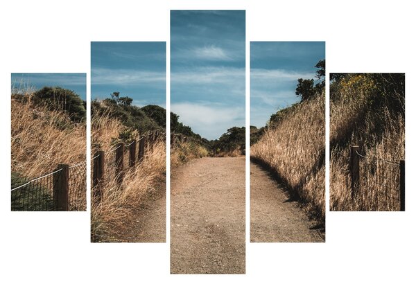 Slika - Na stazi (150x105 cm)