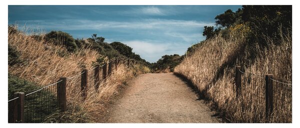 Slika - Na stazi (120x50 cm)
