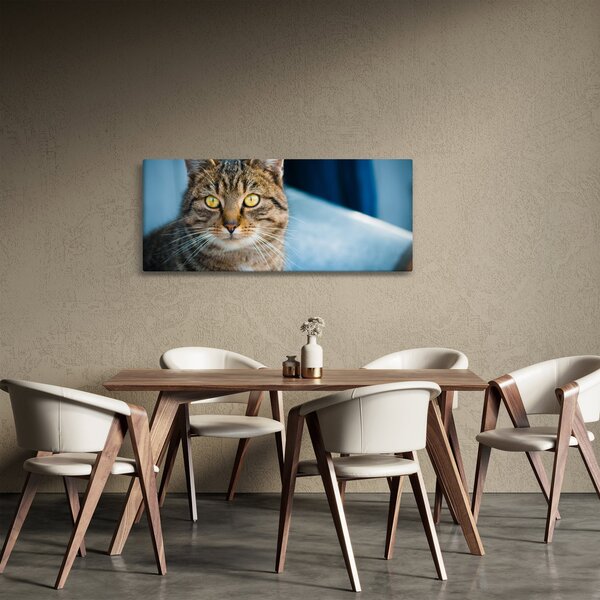 Slika - Domaća mačka (120x50 cm)