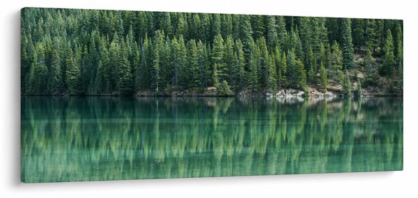 Slika - Četinari uz jezero (120x50 cm)
