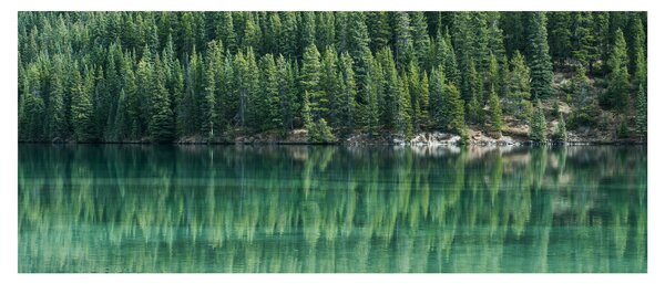 Slika - Četinari uz jezero (120x50 cm)