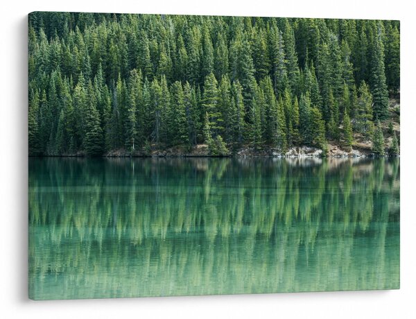 Slika - Četinari uz jezero (70x50 cm)