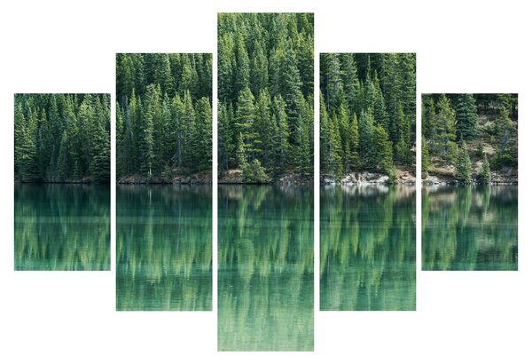 Slika - Četinari uz jezero (150x105 cm)