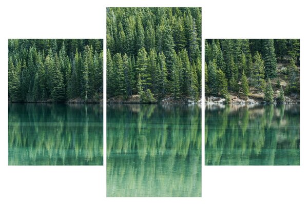 Slika - Četinari uz jezero (90x60 cm)