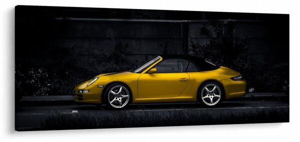 Slika - sportski automobil (120x50 cm)
