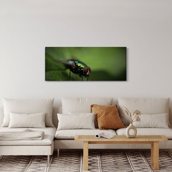 Slika - Muha (120x50 cm)