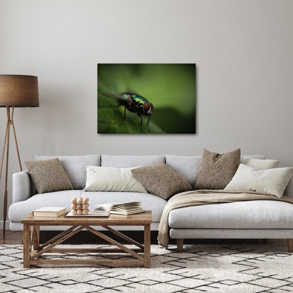 Slika - Muha (70x50 cm)