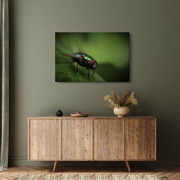 Slika - Muha (90x60 cm)