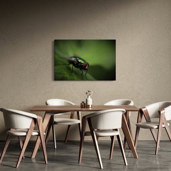 Slika - Muha (90x60 cm)