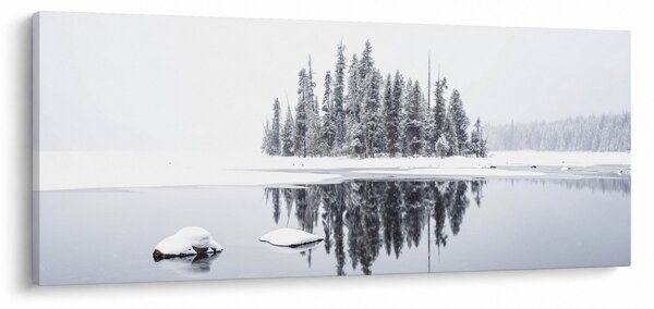 Slika - Bilo je bijelo (120x50 cm)