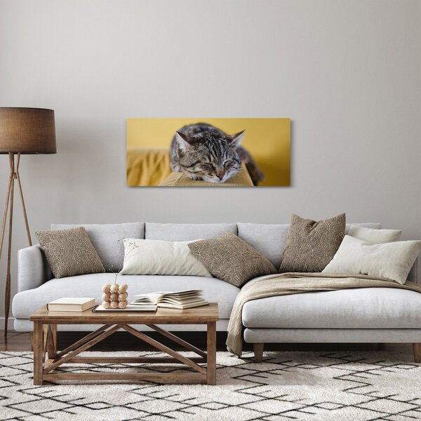 Slika mačke na kauču (120x50 cm)