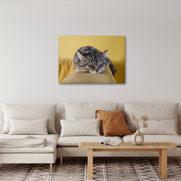 Slika mačke na kauču (70x50 cm)