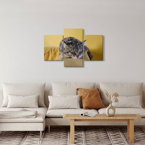 Slika mačke na kauču (90x60 cm)