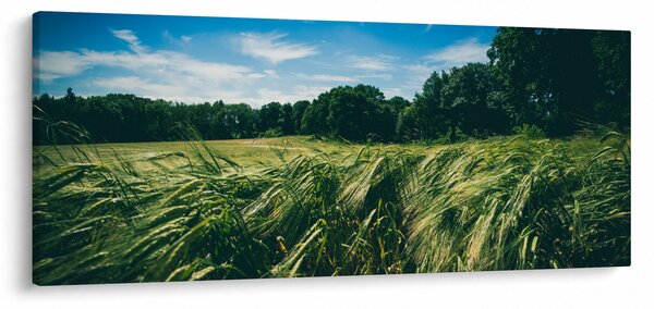 Slika livade i šume (120x50 cm)
