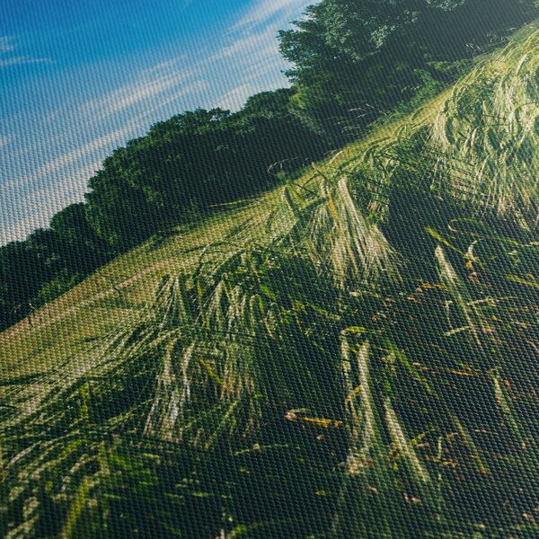 Slika livade i šume (150x105 cm)